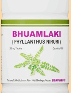 BHUAMLAKI