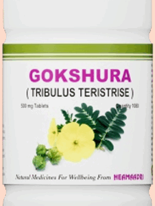 GOKHURA